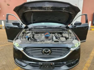 Mazda CX-8 — photo 6